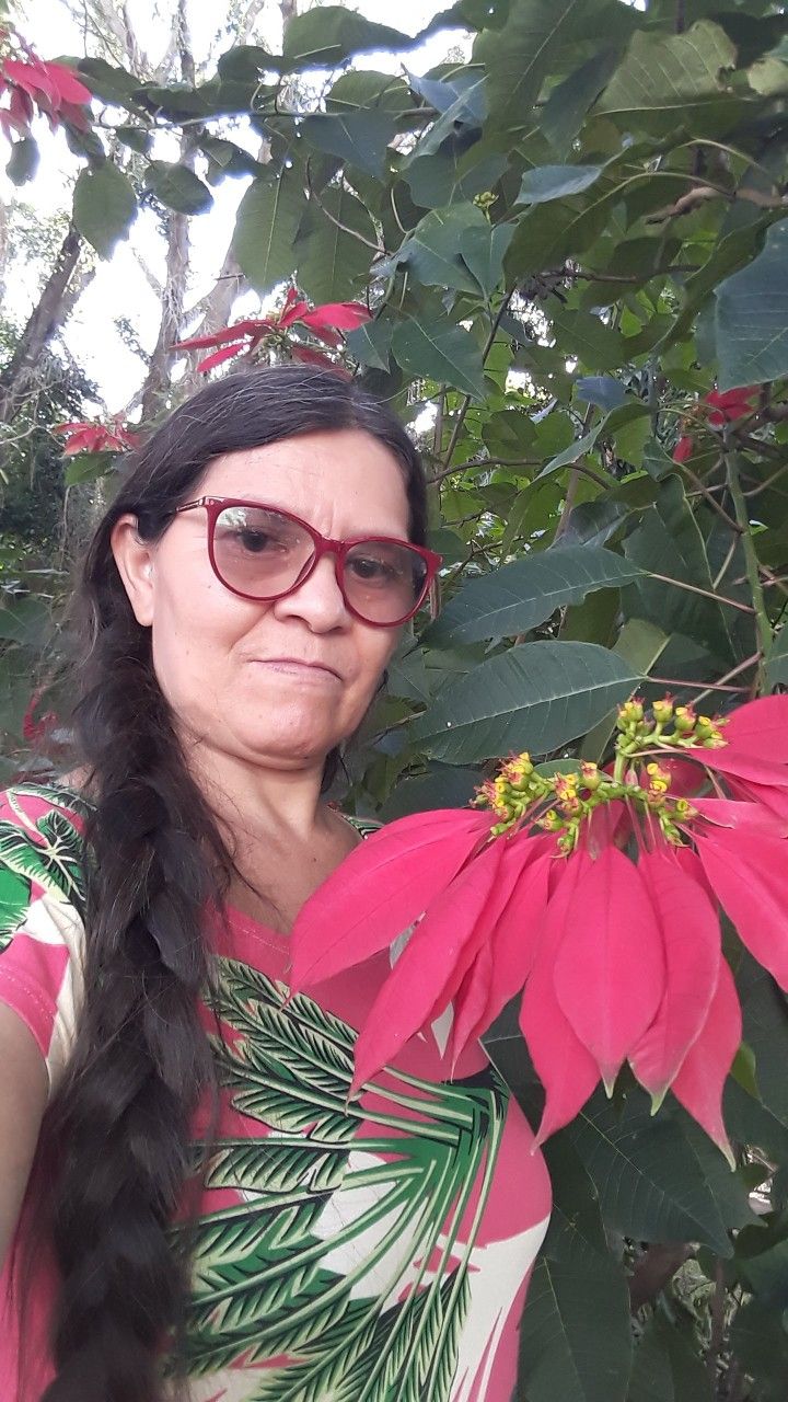 Teresa, da Bahia